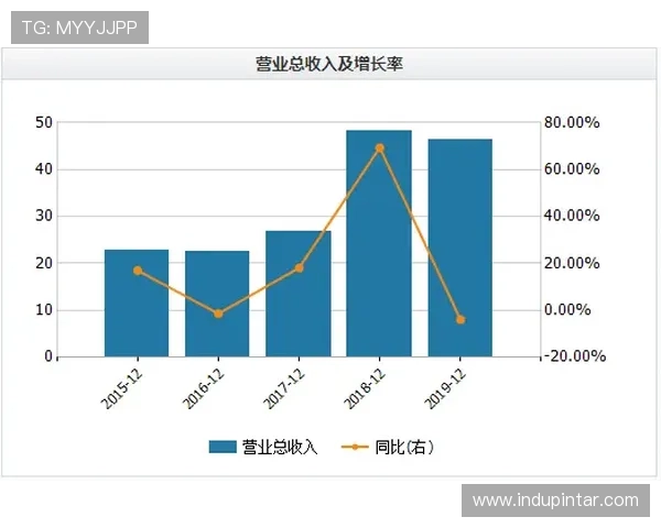 世界杯让球站技术支持详解：保障投注平台稳定运行的关键技术措施