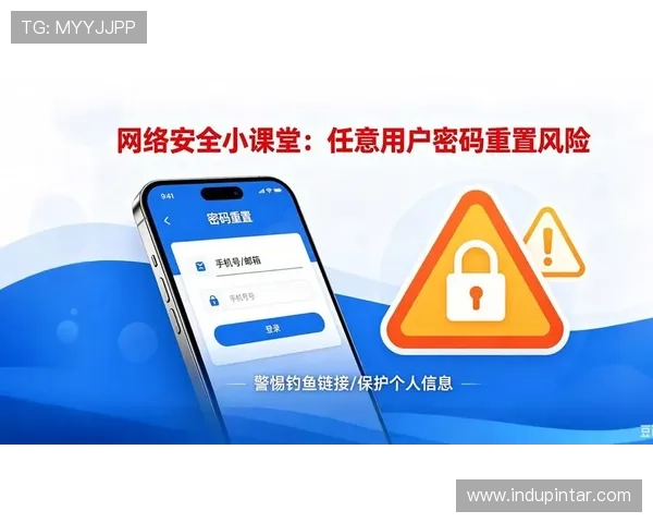 多米体育官网入口安全登录方法，保障玩家账号信息安全与顺畅体验